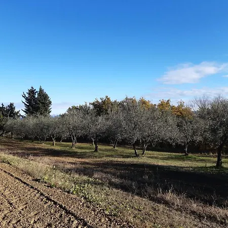 Hisa Bepina Capodistria