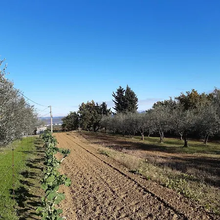 Hisa Bepina Apartman