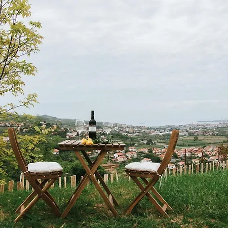 Hisa Bepina Apartman *