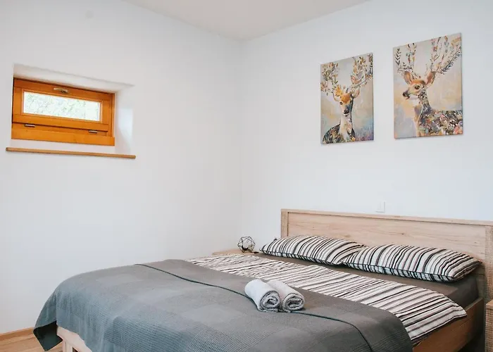 Hisa Bepina Apartment