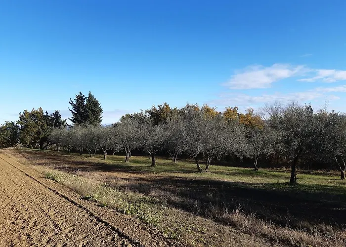 Hisa Bepina كوبر