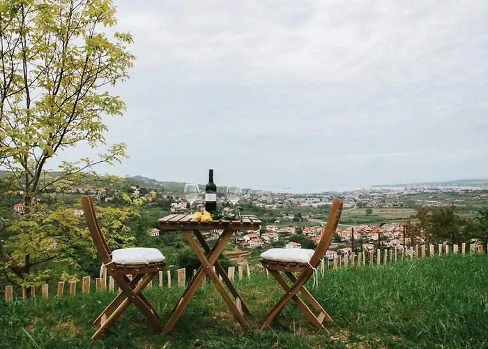 Hisa Bepina Apartment *